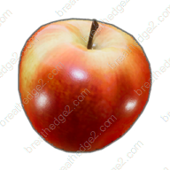 Apple icon