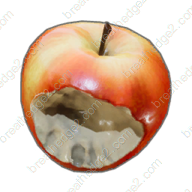 Bitten apple icon