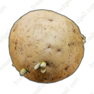 Potato icon