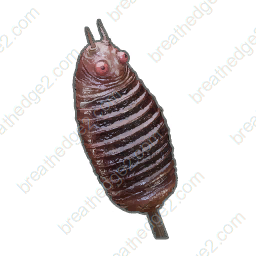 Oxyworm kebab icon